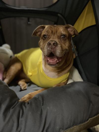 Just happy to be in her stroller!