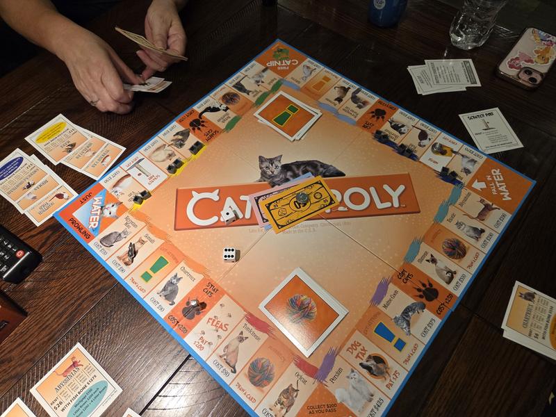 Cat-opoly