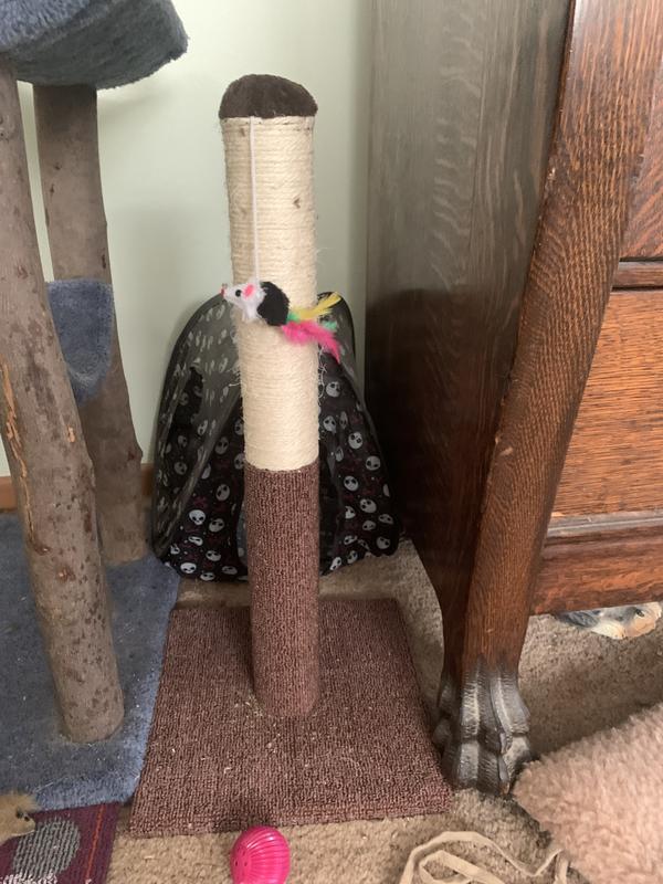 Good size for the area.