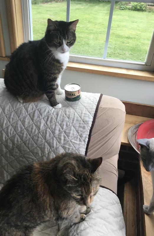 Indoor girls lining up for ZEAL dinner !