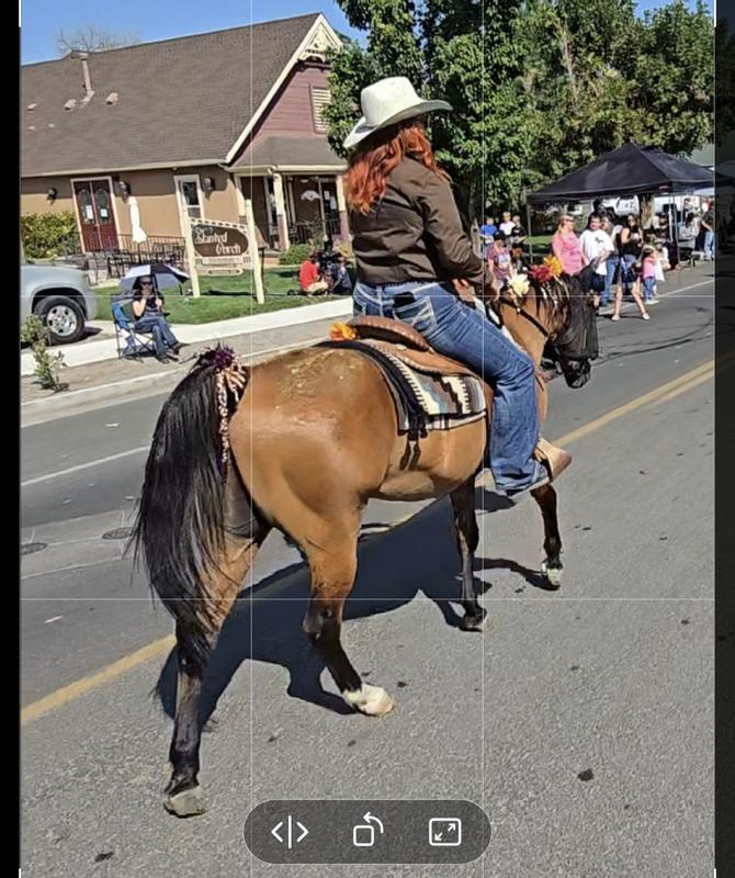 Crusing down the PARADE route