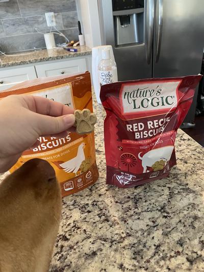 Nature's Logic Red Recipe Biscuit Dog Treats