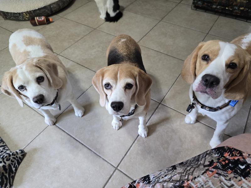 Come on Mom, hurry up!  We want our King Lou's