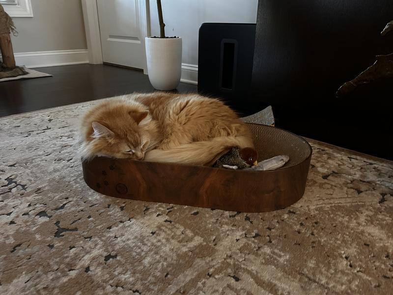 Leo’s turn in the bed!