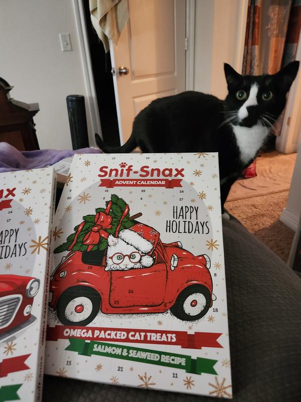 SNIFSNAX Happy Holiday Advent Calendar Salmon & Seaweed Cat Treats, 73