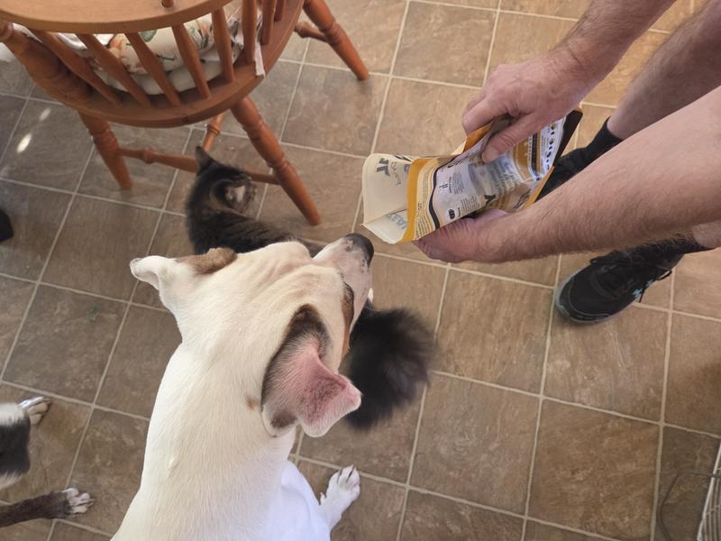 They were interested.