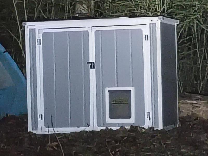 The Cat Shack with a cat flap.