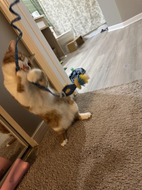 Chutney absolutely GNAWING on this thing mid jump.