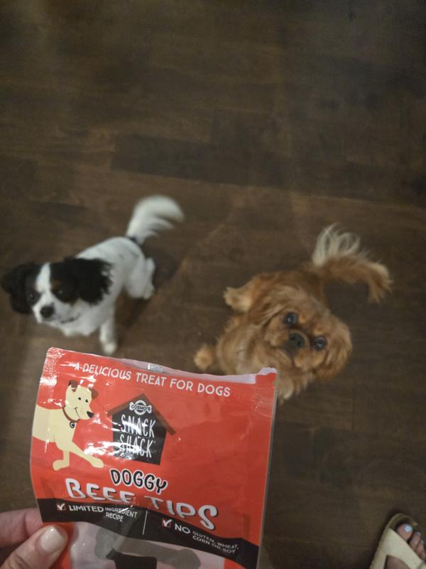 Sitting for their treat