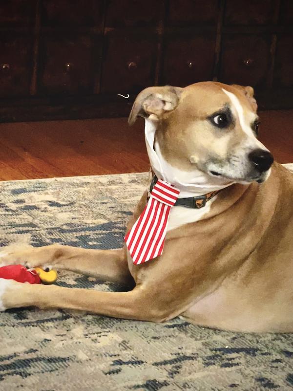 Are there more treats inside?