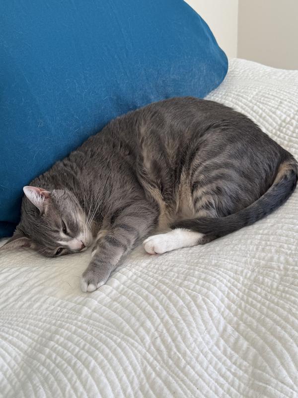 It’s nap time for Hope cause the morning is glad over with.