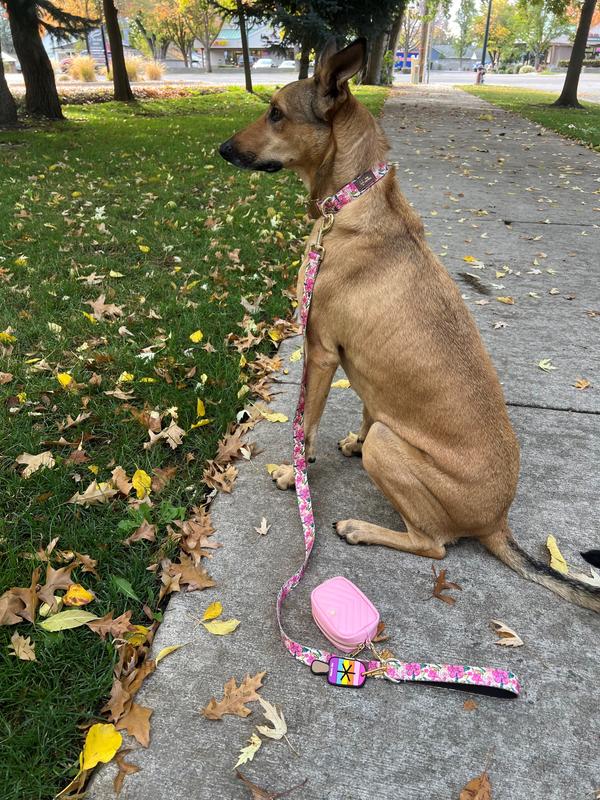 Looking like a queen