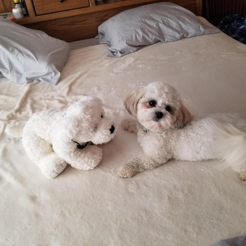 Maizee and a Stuffy