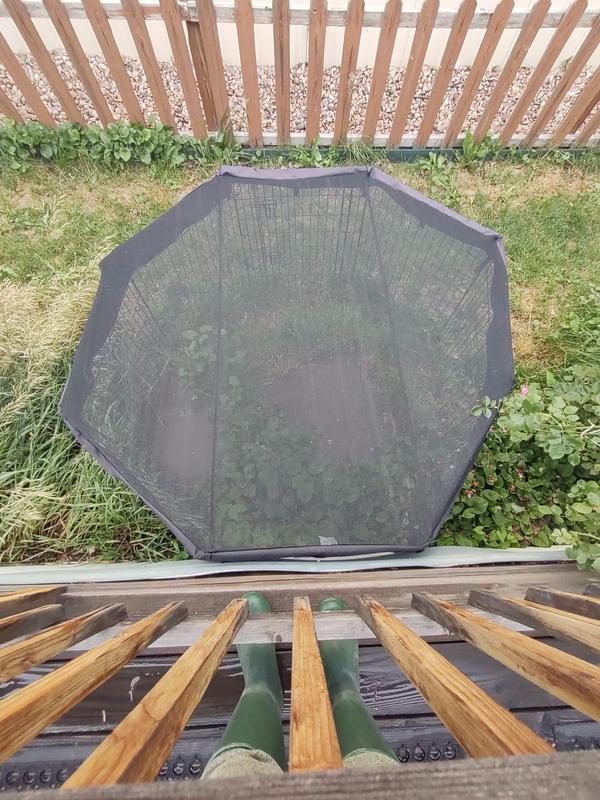 Looking down at cover from the deck