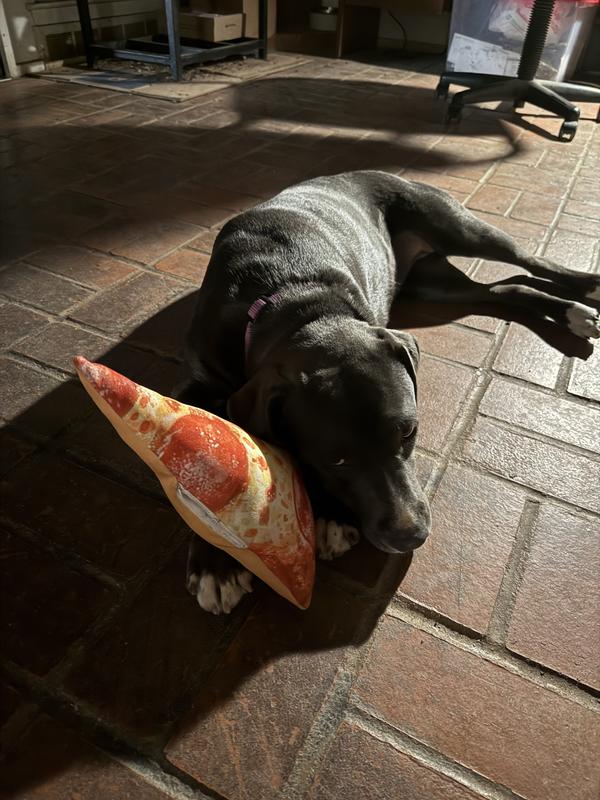 Super Cute Piece of Pizza