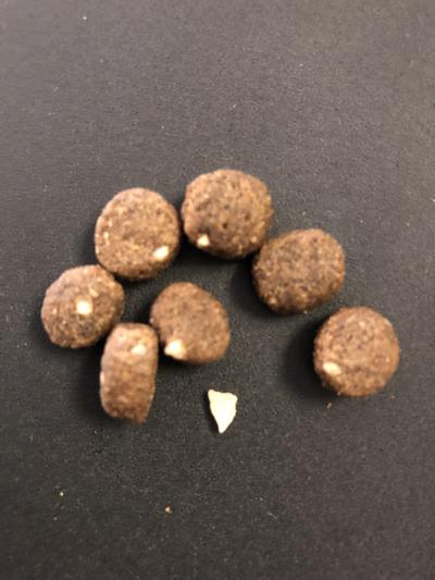 White pieces are bone,some are very sharp