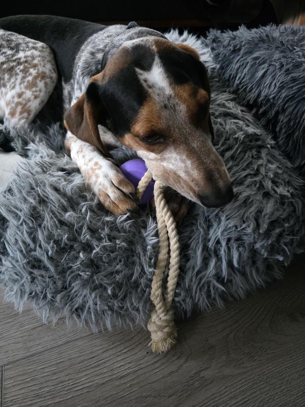 Thanks for the toy, Mama!