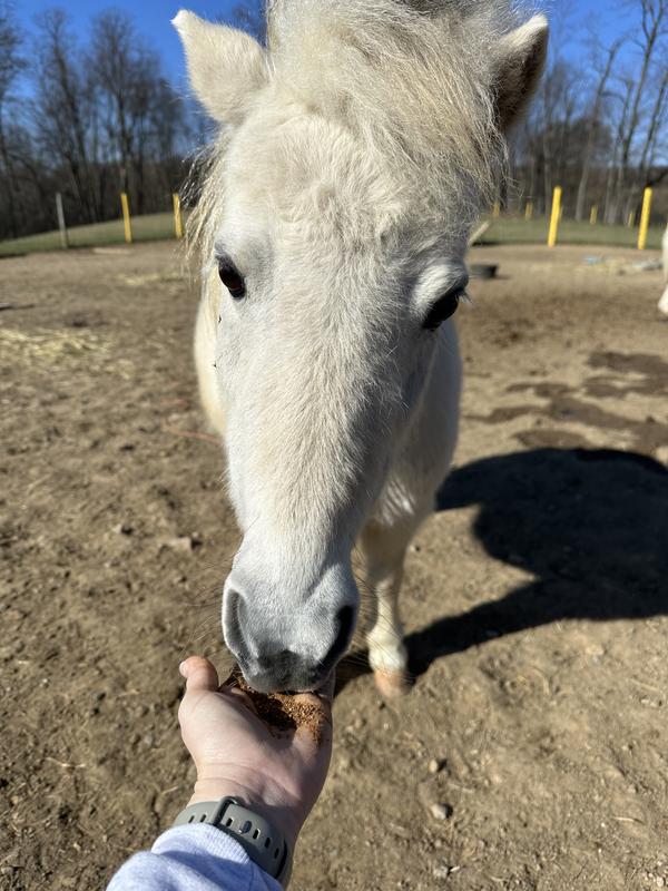“It’s my turn to taste it!”