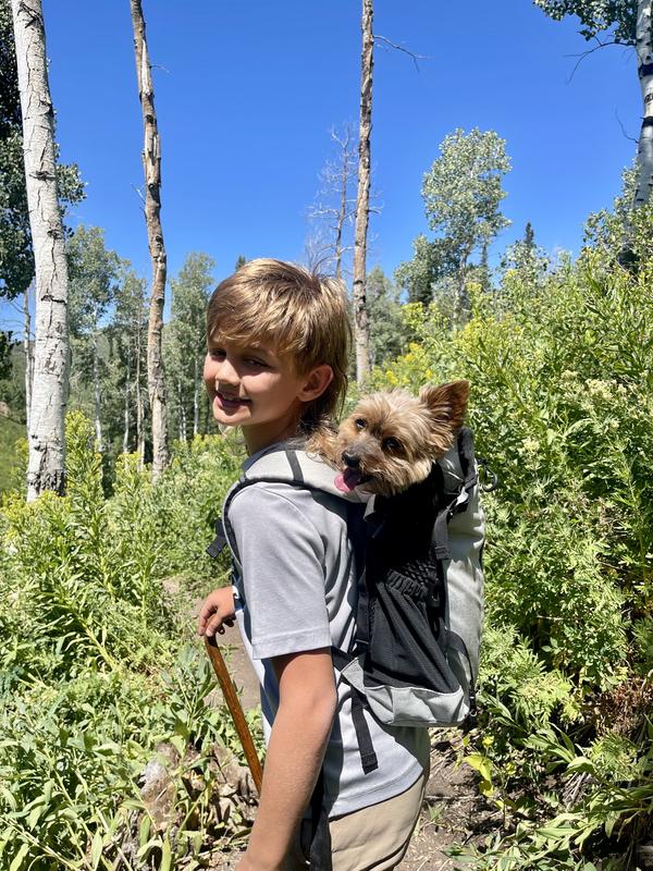 My grandson with Samson and the carrier.