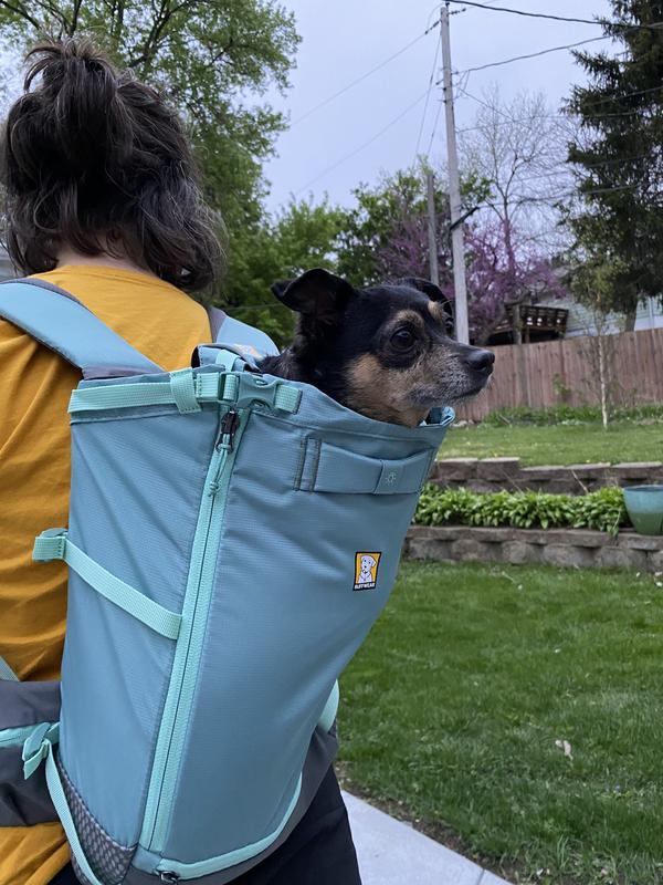 RUFFWEAR Hitch Hiker Backpack Dog Carrier, River Rock Green, Small