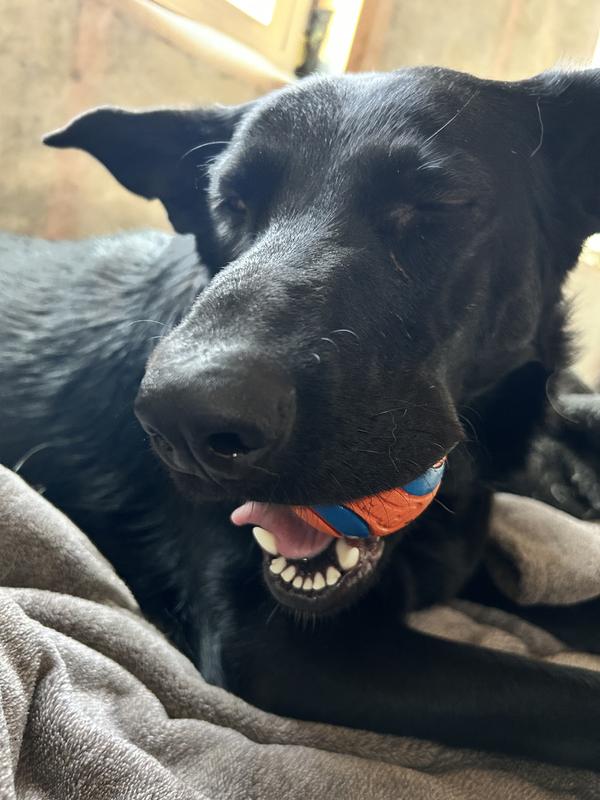 Must have ball!