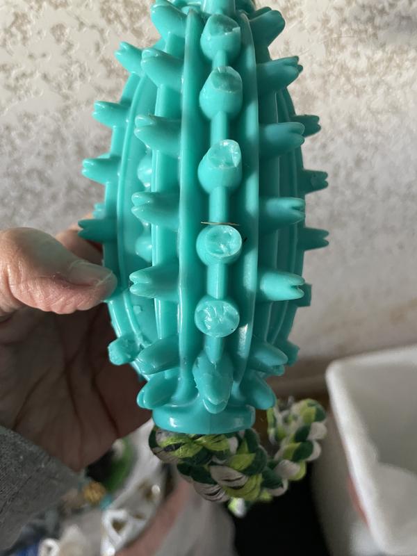 Not safe for hard chewers