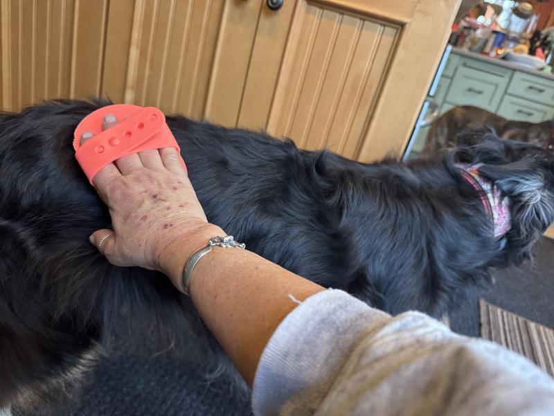 Using brush on medium haired dog