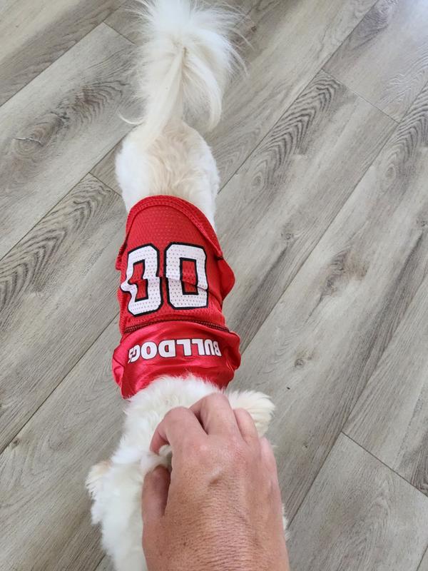 Georgia hotsell dog jersey