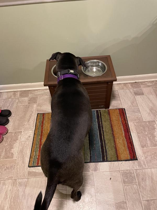 NEW AGE PET ECOFLEX Piedmont Double Diner Elevated Dog Bowls