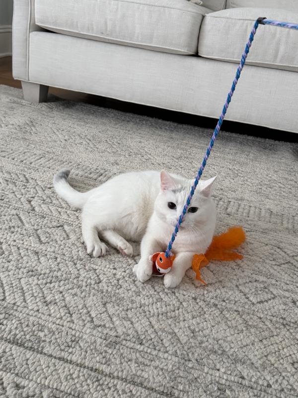 Great toy