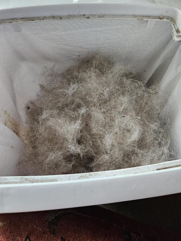 2 minutes all this hair