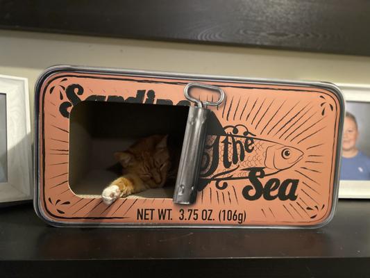 Sardine can outlet cat scratcher