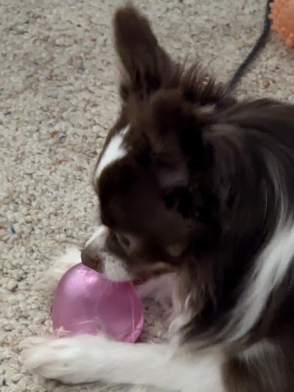 She likes it!