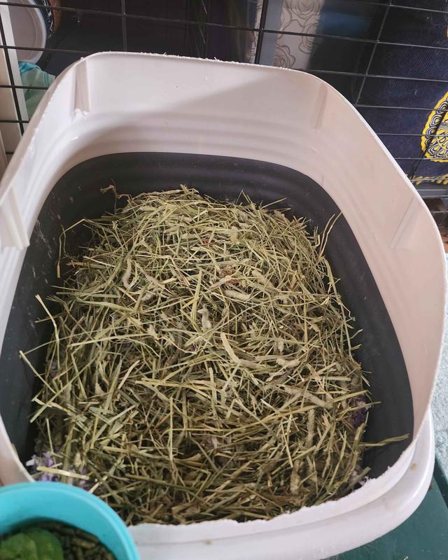 Hay sits nicely on top and doesn't fall between the bedding when used as a litter pan.