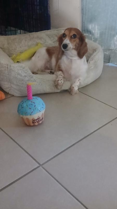 Let's Celebrate! It's my birthday.
