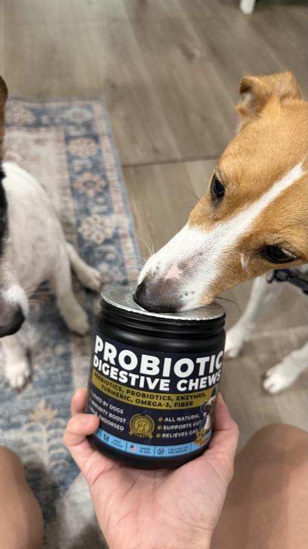 Probiotic chews that even my picky dogs love. Great ingredients and easy to give daily.