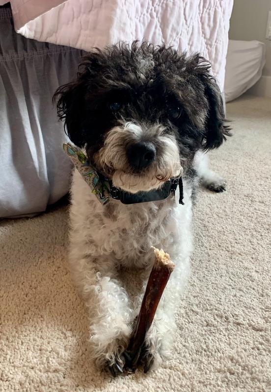 So proud of his chewing! Yum!