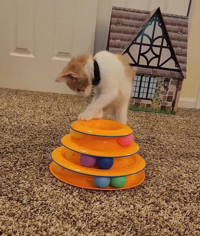 Cat Rolling Ball Toys Interactive Tiered Tower Fun With 3 Colored Balls 3  Tiered Cat Amusing Stick Toys Cat Play Ball Workout Cat Puzzle Toy Blue