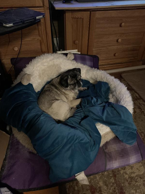 She has marked the bed with her blanket.
