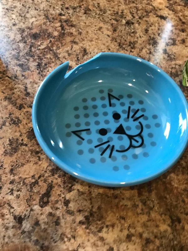 Van ness ecoware cat 2024 dish