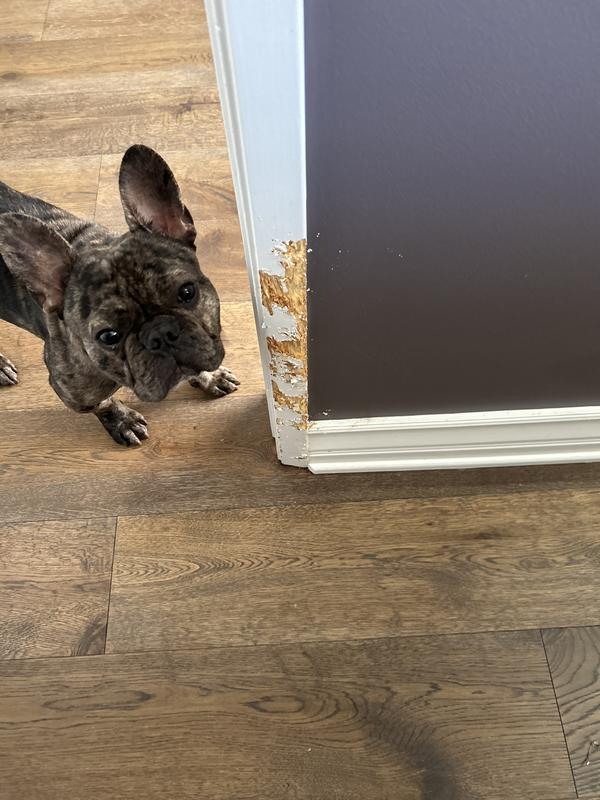 So I went ahead and added Tabasco sauce, and that finally stopped him