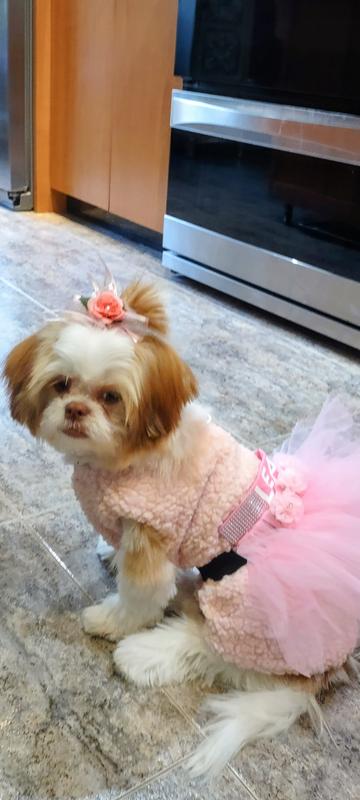 Leah prima ballerina age 5 months