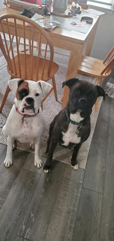 Sophie and Kai. Both age 2.
