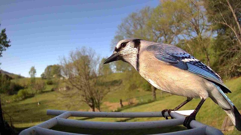 A view that I wouldn't otherwise get!