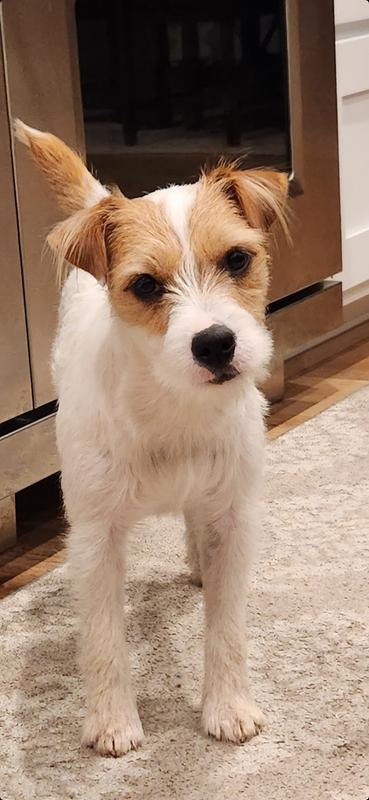 Mr. Charlie