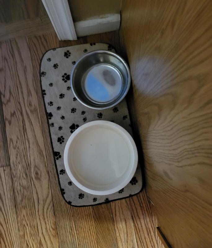 Gigi smelled and tasted it on spoon.Then went to bowl and started eating. Ate faster and licked bowl clean