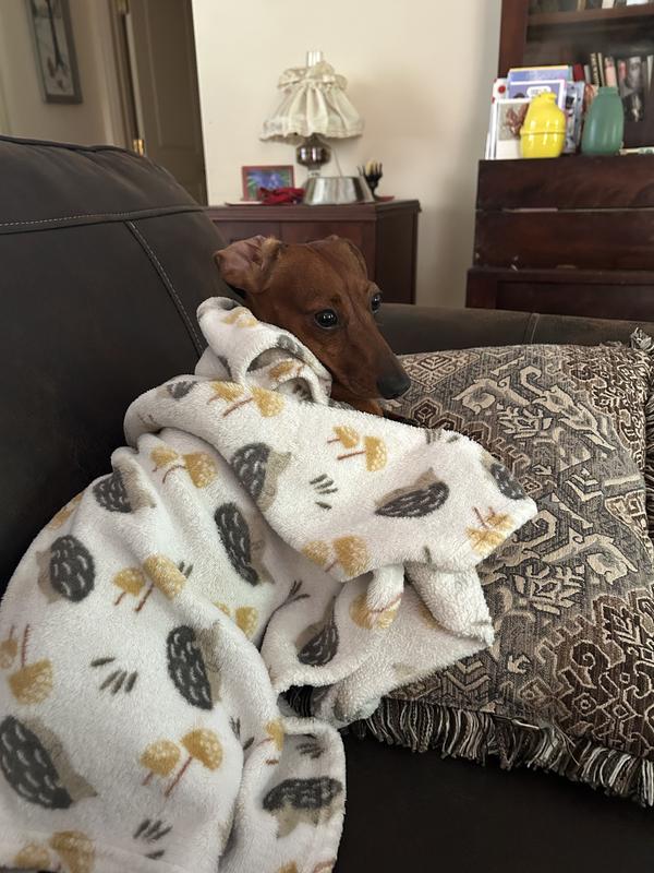 Roofus loves his goat milk!