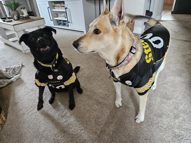 Dog Jersey Steelers Pet Gear Pittsburgh Steelers Mesh Pet Jersey