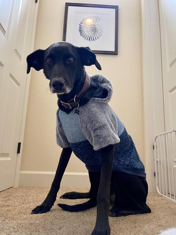 Frisco Colorblock Dog & Cat Turtleneck Sweater with Sleeves