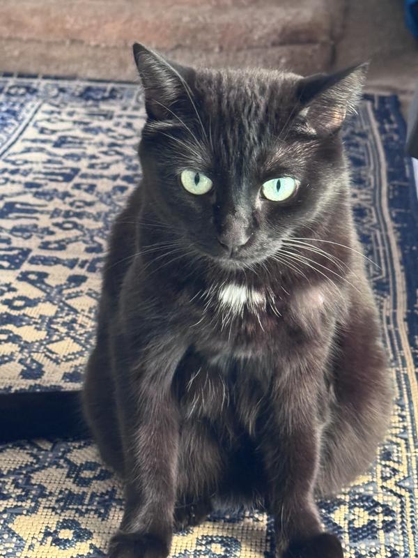 Annoyed by me taking her picture, again